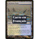 (Foil) Terrain - Bassins calciformes (U) [TSP]