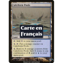 (Foil) Terrain - Bassins calciformes (U) [TSP]