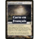 (Foil) Terrain - Dalles de Trokair (R) [TSP]