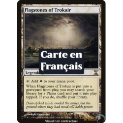 (Foil) Terrain - Dalles de Trokair (R) [TSP]