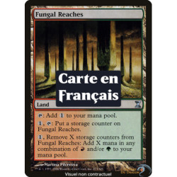 (Foil) Terrain - Étendues fongoïdes (U) [TSP]