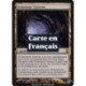 (Foil) Terrain - Cavernes aux gemmes (R) [TSP]