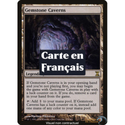 (Foil) Terrain - Cavernes aux gemmes (R) [TSP]