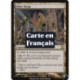 (Foil) Terrain - Castel Kher (R) [TSP]