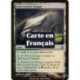 (Foil) Terrain - Steppes de sel (U) [TSP]
