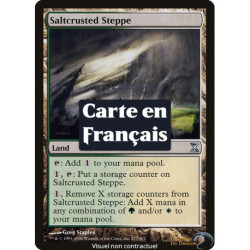 (Foil) Terrain - Steppes de sel (U) [TSP]