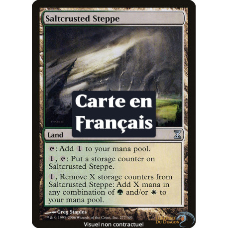 (Foil) Terrain - Steppes de sel (U) [TSP]