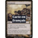 (Foil) Terrain - Grouilletière (R) [TSP]