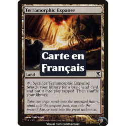 (Foil) Terrain - Immensité terramorphe (C) [TSP]