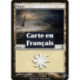 (Foil) Terrain - Plaine (V1) (L) [TSP]