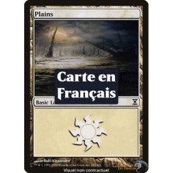 (Foil) Terrain - Plaine (V1) (L) [TSP]