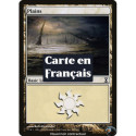 (Foil) Terrain - Plaine (V1) (L) [TSP]