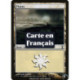 (Foil) Terrain - Plaine (V2) (L) [TSP]