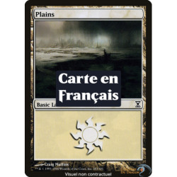 (Foil) Terrain - Plaine (V2) (L) [TSP]