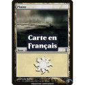 (Foil) Terrain - Plaine (V2) (L) [TSP]