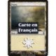 (Foil) Terrain - Plaine (V3) (L) [TSP]