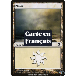 (Foil) Terrain - Plaine (V3) (L) [TSP]