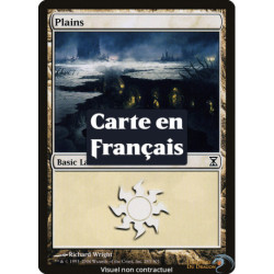 (Foil) Terrain - Plaine (V4) (L) [TSP]