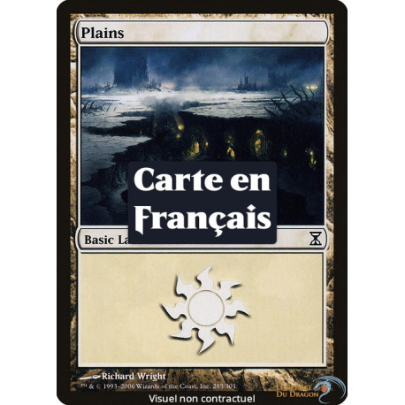 (Foil) Terrain - Plaine (V4) (L) [TSP]