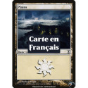 (Foil) Terrain - Plaine (V4) (L) [TSP]