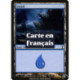 (Foil) Terrain - Île (V1) (L) [TSP]