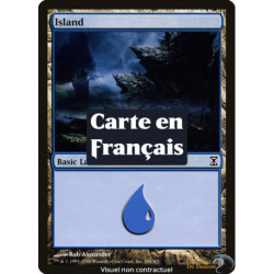 (Foil) Terrain - Île (V1) (L) [TSP]