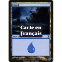 (Foil) Terrain - Île (V1) (L) [TSP]