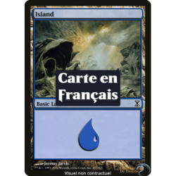 (Foil) Terrain - Île (V2) (L) [TSP]