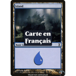 (Foil) Terrain - Île (V3) (L) [TSP]