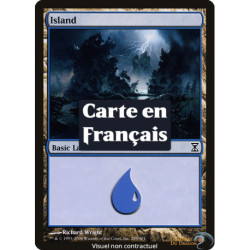 (Foil) Terrain - Île (V4) (L) [TSP]