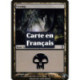(Foil) Terrain - Marais (V1) (L) [TSP]