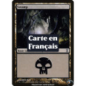 (Foil) Terrain - Marais (V1) (L) [TSP]