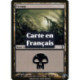 (Foil) Terrain - Marais (V2) (L) [TSP]