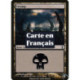 (Foil) Terrain - Marais (V4) (L) [TSP]