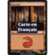 (Foil) Terrain - Montagne (V1) (L) [TSP]
