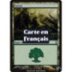 (Foil) Terrain - Forêt (V1) (L) [TSP]
