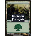 (Foil) Terrain - Forêt (V1) (L) [TSP]