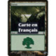 (Foil) Terrain - Forêt (V2) (L) [TSP]