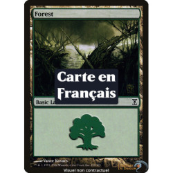 (Foil) Terrain - Forêt (V2) (L) [TSP]