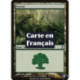 (Foil) Terrain - Forêt (V3) (L) [TSP]