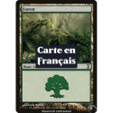 (Foil) Terrain - Forêt (V3) (L) [TSP]