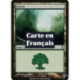(Foil) Terrain - Forêt (V4) (L) [TSP]