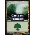 (Foil) Terrain - Forêt (V4) (L) [TSP]