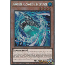 Grandes Mâchoires à la Surface (STAR) [MP25]