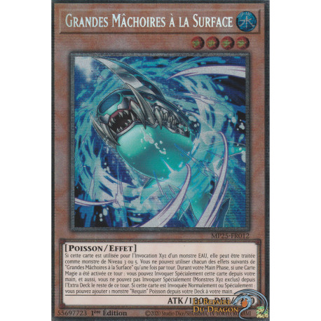 Grandes Mâchoires à la Surface (STAR) [MP25]