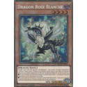 Dragon Rose Blanche (STAR) [MP25]