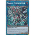 Dragon Codeborrelle (STAR) [MP25]