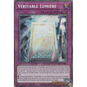 Véritable Lumière (STAR) [MP25]