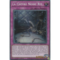 La Chèvre Noire Rit (PSE) [MP25]