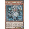 Elzette de la Forêt Blanche (PSE) [MP25]